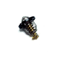 Thermostat Tourmax TMT104