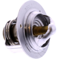 Thermostat Originalersatzteil 490540001