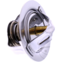 Thermostat Originalersatzteil 490540004