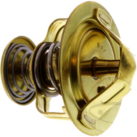 Thermostat Originalersatzteil 490541001