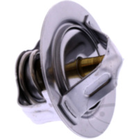 Thermostat Originalersatzteil 490540003