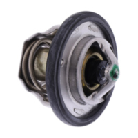 Thermostat Originalersatzteil 49054S006