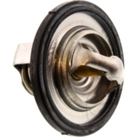 Thermostat f&uuml;r: Yamaha Originalersatzteil 29L-12411-00