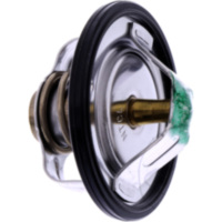 Thermostat Originalersatzteil 4FM1241000