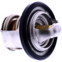 Thermostat Originalersatzteil 5YP1241100
