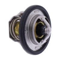 Thermostat Originalersatzteil 1767006G70000