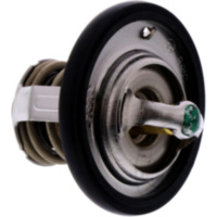 Thermostat Tourmax TMT303
