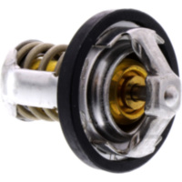 Thermostat Tourmax TMT306