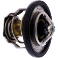Thermostat f&uuml;r: Cagiva Original