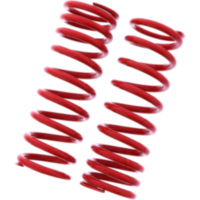 Feder rot YSS 46I2535S180B5X