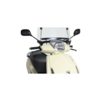 Scheibe T.g. Puig 4676W