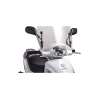 Scheibe T.S. Puig 6257W