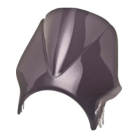 Scheibe Windy Puig 2176F