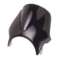 Scheibe Windy Puig 1482N