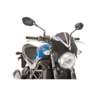 Scheibe Retrovision Puig 8926F