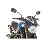 Scheibe Retrovision Puig 8927F