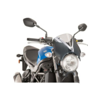 Scheibe Retrovision Puig 8927W