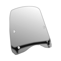 Scheibe T.g. Puig 5259W