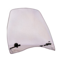 Scheibe Urban Puig 20287H