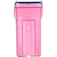 Sicherung PAL J 30A BTL1