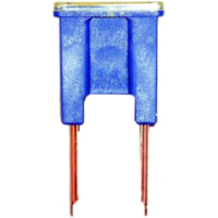 Sicherung PAL BT 100A Blister