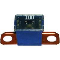 Sicherung PAL CS 100A Blister