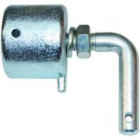 Endt&uuml;ck mit Zapfen