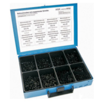 Blechschraubensortiment schwarz verzinkt