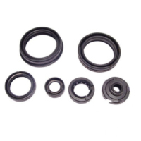 Simmering Wellendichtring Satz P400510400045