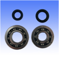 Kurbelwellenlager Satz