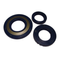 Simmering Wellendichtring Satz 5699C