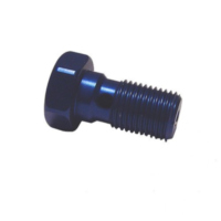 Hohlschraube einfach M10 x 1.00 25401003