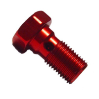 Hohlschraube einfach M10 x 1.00 25401004