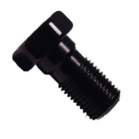 Hohlschraube einfach M10 x 1.00 25401008