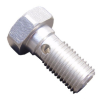 Hohlschraube einfach 3/8-24 25403001