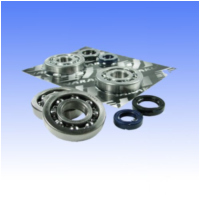 Kurbelwellenlager Satz NK10032