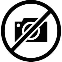 100/80-12 56P TL front