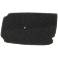 Luftfilter 100600170