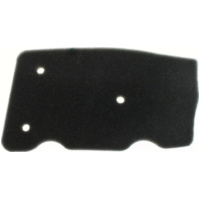 Luftfilter 100600830