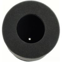 Luftfilter 100601290