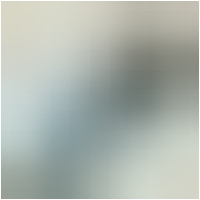 Luftfilter 100602120