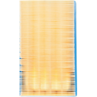 Ufi Luftfilter 100602320