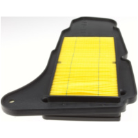 Luftfilter 100602330