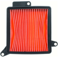 Luftfilter 100609340