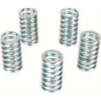 Kupplungsfedern MEF 131-5 f&uuml;r Suzuki VL1500
