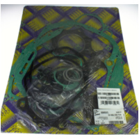 Zylinderdichtung, Motordichtungen Motordichtsatz CX / 666A501FL