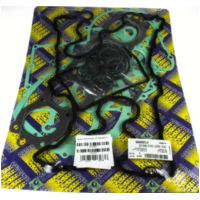 Zylinderdichtung, Motordichtungen Motordichtsatz CB / 666A900FL/A