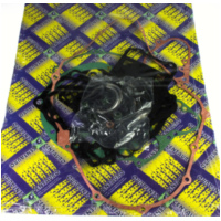 Zylinderdichtung, Motordichtungen Motordichtsatz VT / 666A978FL