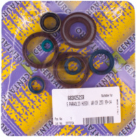 Motorwellendichtringsatz 1032304