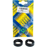 25.7x37x10.5 111A002FK Gabelwellendichtringset